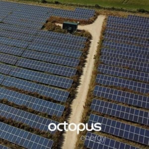 Octopus Energy