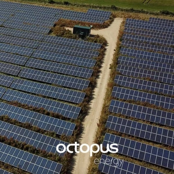 Octopus Energy