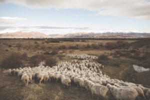 Plastic-free fashion
