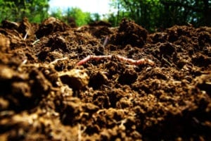 Resistance is fertile