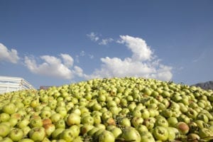 Food and emissions