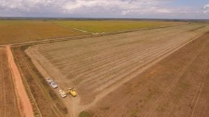 Soybean plantation in the Cerrado