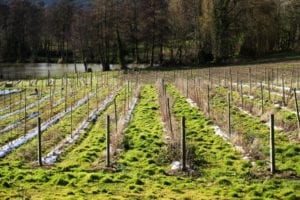 The Sixth Carbon Budget