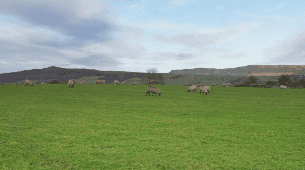 Play 2 hours of sheep