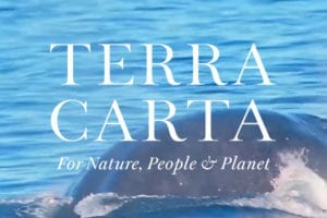 The Terra Carta