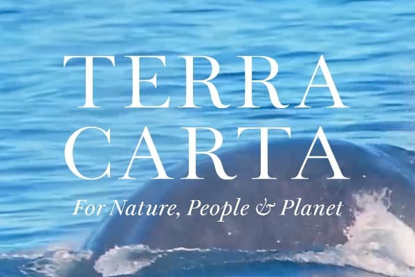 The Terra Carta