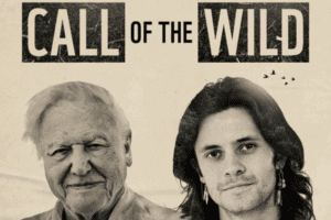 Call of the Wild