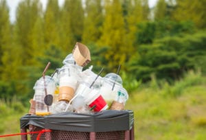 Tackling a throwaway culture_my green pod