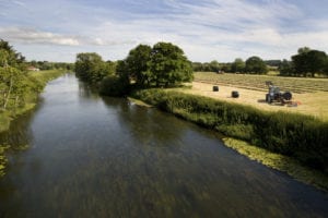 UK's polluted rivers