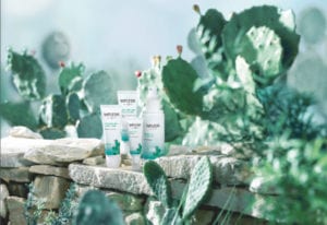 Weleda's new Prickly Pear Cactus range