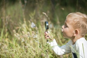 Nurture for Nature
