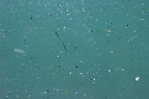 Chemicals in microplastics