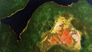 Earth Overshoot Day 2021