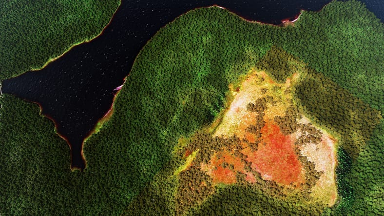 Earth Overshoot Day 2021