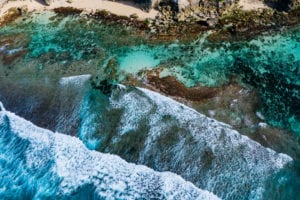 World Oceans Day 2021