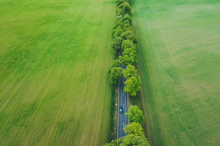 Decarbonising UK transport