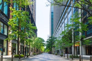 Designing green infrastructure