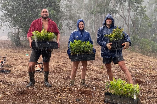 ReForest Now, Australia
