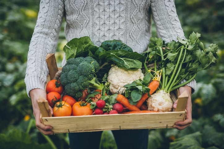 Support for sustainable food_my green pod