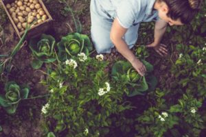 Organic offers