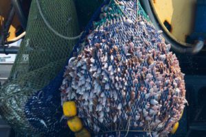 A fishing emergency