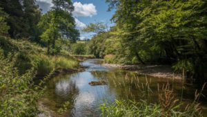 Medicines widespread in British rivers
