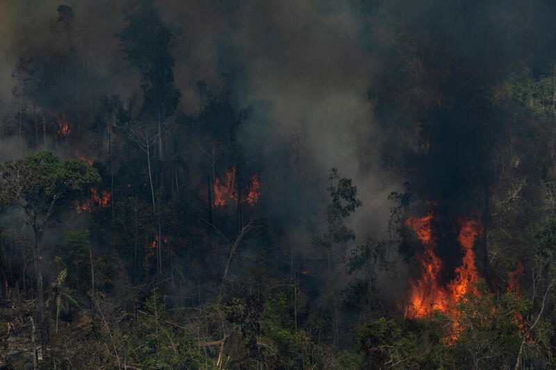 Novo Aripuanã, Amazonas state