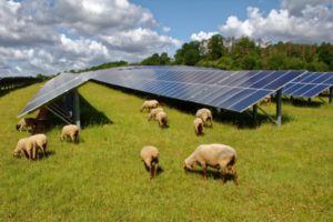 Making green energy greener
