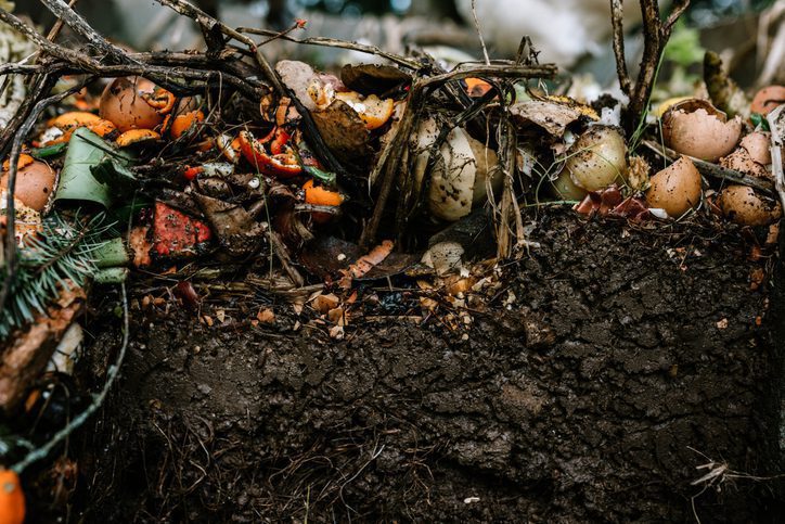The Compostable Conundrum