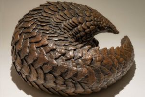 Bronze pangolin