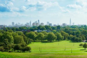 Climate action and the economy