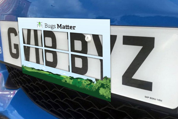 The Bugs Matter Splatometer