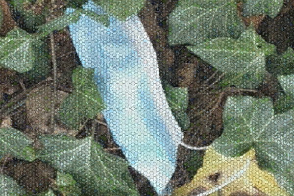 Face mask litter