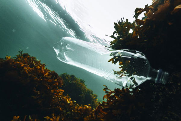 Microplastics in the body
