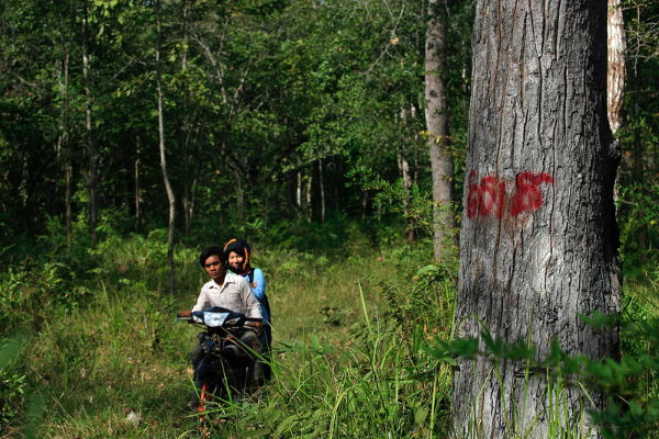 Resin tappers from O Preah Village are going back home after a day's work in the community forest