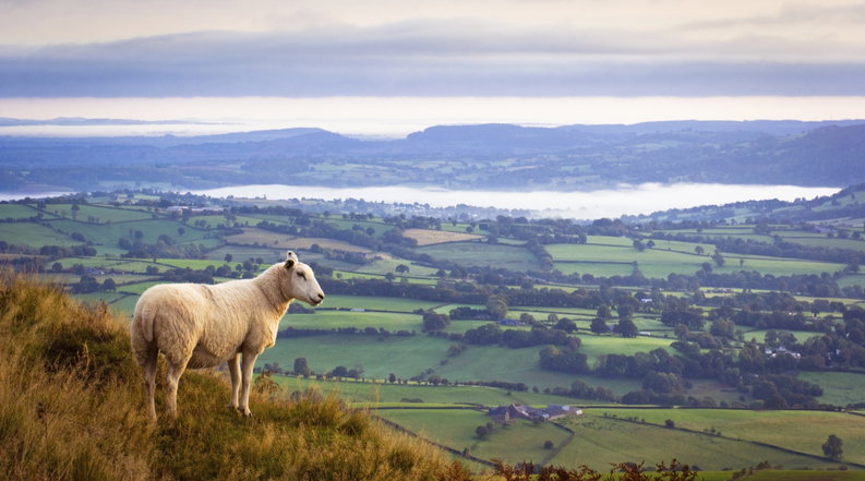 Rewarding farmers for sustainable farming