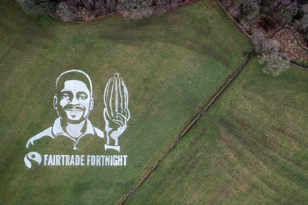 Aerial view of grass art installation