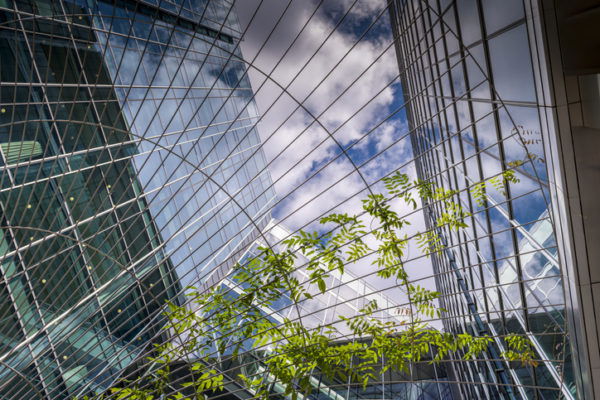 Low-angle view of the Lloyds of London building, with a tree and blue sky