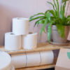 Serious Tissues Toilet Roll Hero