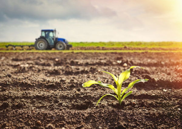 A tractor working on the field