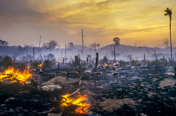 Deforestation fire in the Amazon
