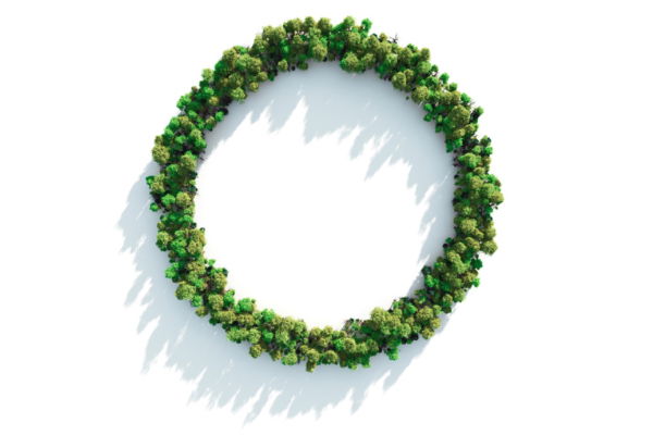 A circle – or 'doughnut' – of trees on a white background