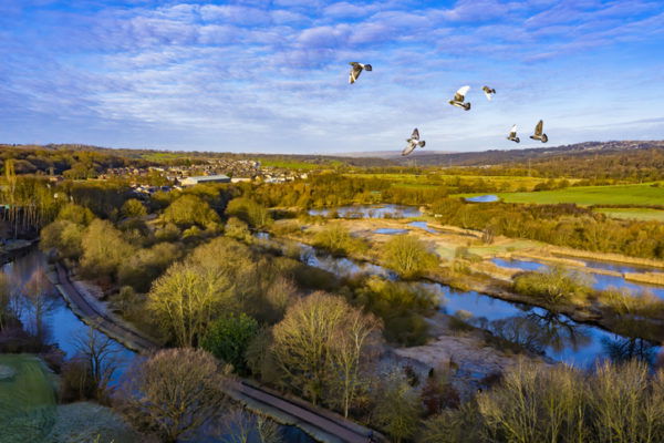 Wetlands at Rodney Bird Reserve in Leeds