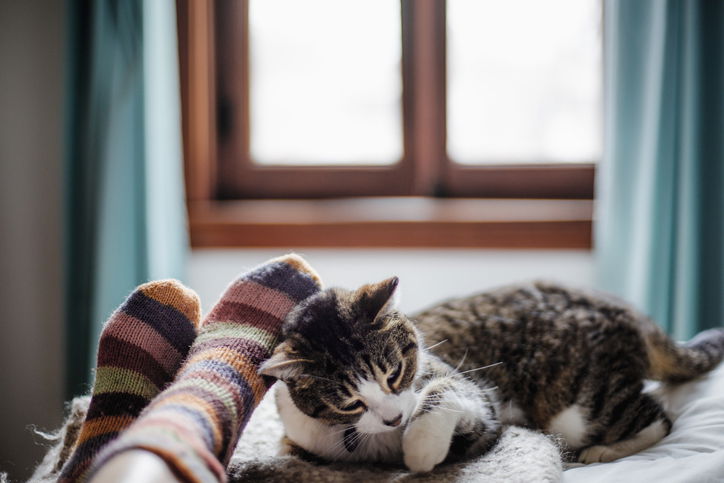 Electric blankets offer an affordable way to stay warm