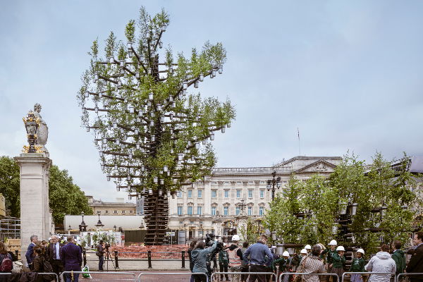 The Tree of Trees