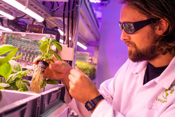 Charlie from LettUs Grow