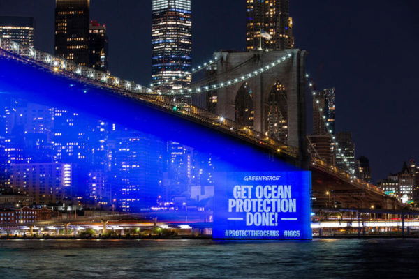 'Protect the Oceans' Projection on Brooklyn Bridge