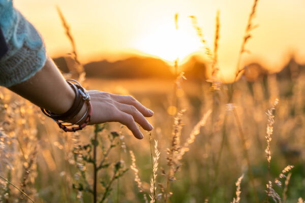 Young woman gently touching grass in a field at sunset