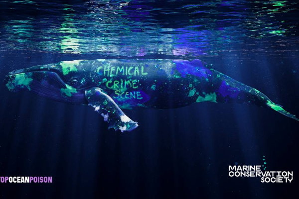 Stop Ocean Poison