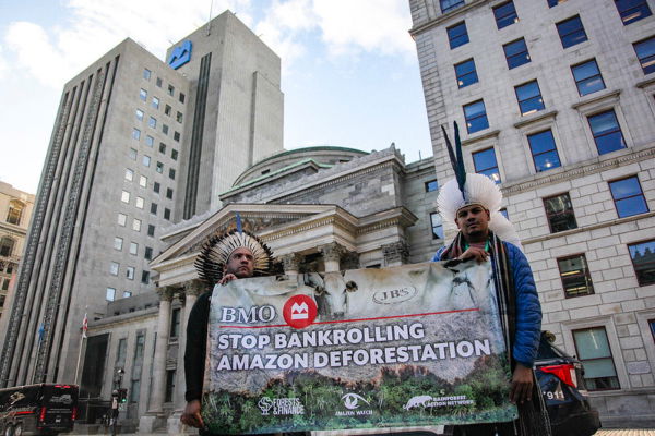Bankrolling deforestation